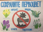 Юные волжане приняли участие в конкурсе рисунков о первоцветах