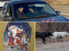 «Нищенские» подарки, нападение псов, похищение ребенка: главные новости недели в Волжском
