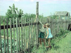 Один день из жизни: фото о советском детстве волжан показал «Блокнот Волжский»