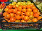 Сто рублей за новогоднее «настроение»: сколько стоят мандарины в Волжском