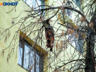 Семилетний мальчик погиб, упав с восьмого этажа многоквартирного дома в Волжском