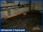 "Я когда туда зашла, там тараканы, комары, вонь сыростью", - волжанка