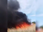 В Волжском у СНТ «Изобилие» вспыхнул пожар