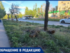 «Скоро все скроется в траве», - волжанка об улице Заводской