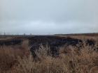 С птицефабрики «Волжская» взыскали более 1,2 млн рублей за ущерб почвам