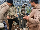 Новый суслик на батарее и с зонтиком в руке появился в Волжском