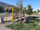 Коммунальщики отчитались за полив растений в Волжском