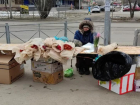 Волжская полиция в преддверии 8 марта посетила перекупщиков цветов на 8 точках торговли