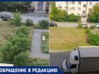 «Косим траву за свой счет»: волжане спасают детей от клещей и крыс, пока УК бездействует