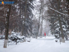 Четверг начнется с мороза и штормового ветра: прогноз погоды в Волжском  
