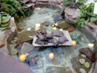 В Волгограде от холода в пруду в "Киндер Молле" погибают черепашки
