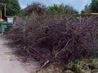 Житель поселка в Волжском пожаловался на огромную свалку сухих веток рядом с администрацией: видео