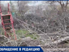 Детская площадка тонет в ветках, жители ждут нашествие крыс: история двора в Волжском