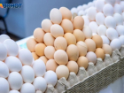 Новый антирекорд по стоимости поставили яйца в Волжском