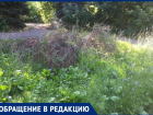 Созданный первостроителями сквер погибает в Волжском 