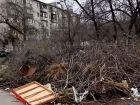 «К мусорке не пройти», - волжанка о дворе, заваленном сухими ветками