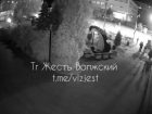 Похитительница цветов разорила клумбу а ЗАГСа в Волжском: видео