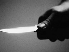 В Михайловке оскорбленный мужчина нанес другу 8 смертельных ударов ножом