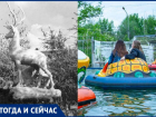 Возвращение «блудного» оленя планируется в парке «Гидростроитель» в Волжском