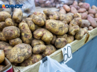 Помидоры и картофель дорожают в Волжском: статистика