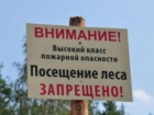 Запрет на посещение лесов в Волжском снова продлили