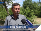 Экзохорда, сафора, тополь-гибрид и рябина: «Комбинат благоустройства» превращает Волжский в зелёную лабораторию