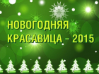 Проголосуй за лучшую "Новогоднюю красавицу-2015"