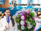 «А в ответ – тишина»: что осталось от школьных знаний у волжан