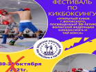 В Волжском переносится запланированный фестиваль по кикбоксингу