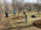 В Волжском стартовал традиционный весенний месячник по благоустройству