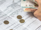Городские жители региона тратят на домашнее хозяйство в среднем 4 086 рублей