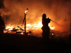 Сильный пожар в дачном массиве попал на фото в Волгоградской области
