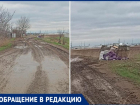 Дороги превратились в болото, а в мусорных баках копошатся крысы: насколько волжские СНТ готовы к лету