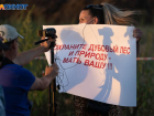 Задержали участницу пикета против строительства дороги в Волго-Ахтубинской пойме