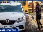 «Носы по ветру»: в Волжском прошли соревнования по ноузворку с участием собак со всей России