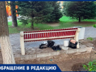 «Хочется, чтобы было приятно на улице»: волжанин пожаловался на мусор и нетрезвых людей на площади Свердлова