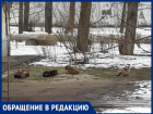 «Мы боимся за свою жизнь», - волжанка