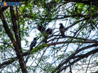 Ветрено и прохладно: в четверг жара в Волжском спадет
