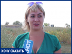 "Собаки нападают на кошек, а потом люди - это страшно",- волжанка