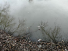 Прокуратура области подтвердила загрязнение реки Арчеда 