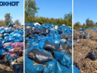 Как листва после субботников в Волжском оказалась на нелегальной свалке и куда в итоге дели сотни пакетов с листьями