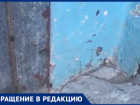 Тараканы захватили целый дом в Волжском: видео