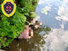 В Волгоградской области нашли тело мужчины в реке Медведице