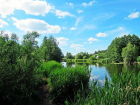 Осуществление нацпроекта «Экология» в Волгоградской области идет по плану