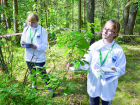 Экологи учат школьников Волжского природолюбию