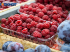 Ряд продуктов подорожал в Волжском: статистика цен