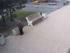 Акт вандализма в Волжском: жительница украла свежевысаженные цветы из клумбы