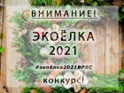 Волжан приглашают принять участие в конкурсе «Экоелка 2021»