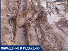 "Как нам к домам пробираться?" - среднеахтубинцы