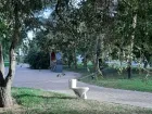 Унитаз посреди аллеи: в Волжском горожане обнаружили очередную странную находку